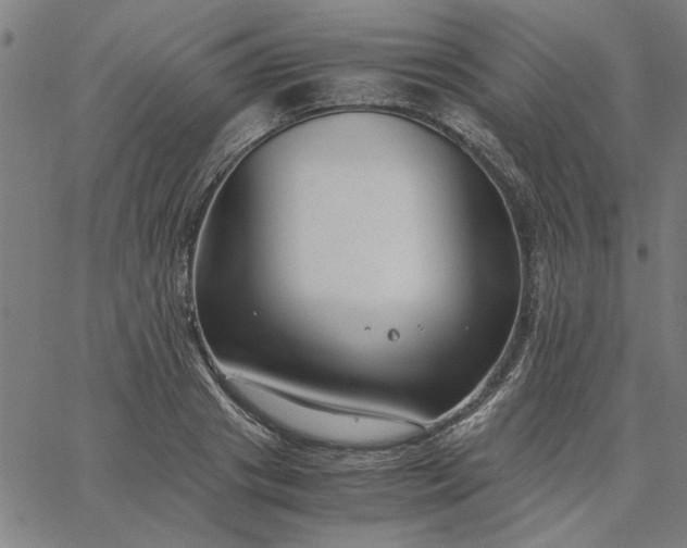 X0000065250841200603031801