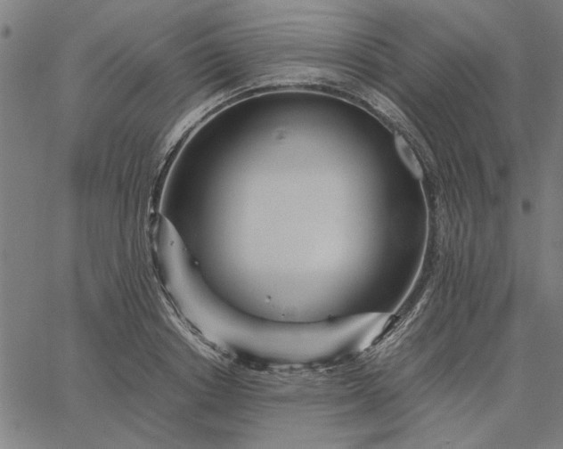 X0000065250842200603031801