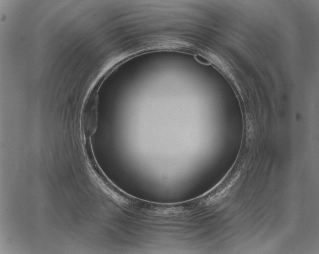 X0000065250843200603031801