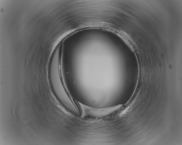 X0000065250846200603031801