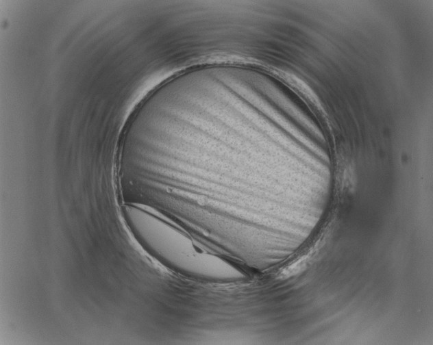 X0000065250847200603031801