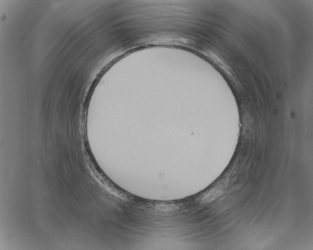 X0000065250848200603031801