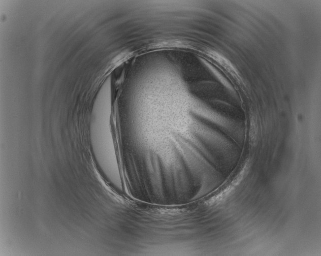 X0000065250849200603031801