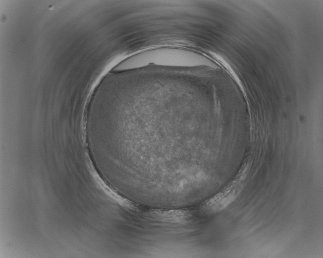 X0000065250851200603031802