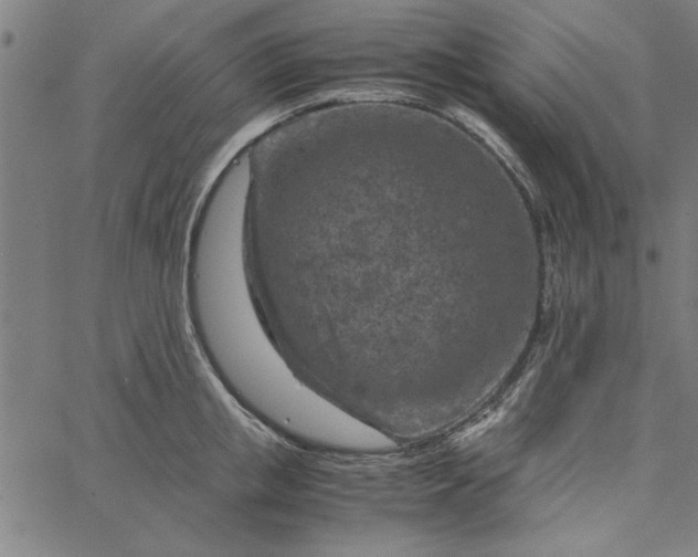 X0000065250853200603031802