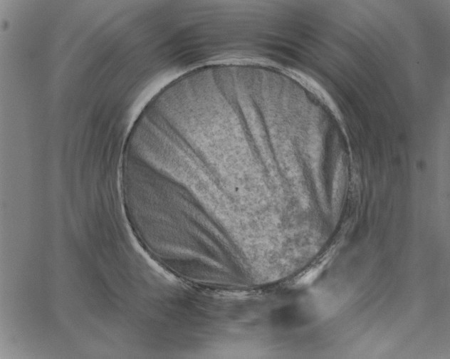 X0000065250855200603031802