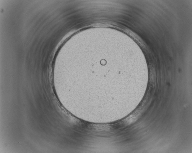 X0000065250856200603031802