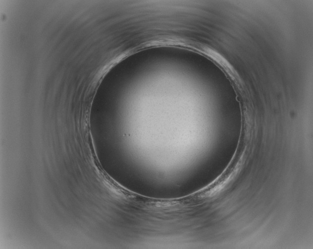 X0000065250857200603031802