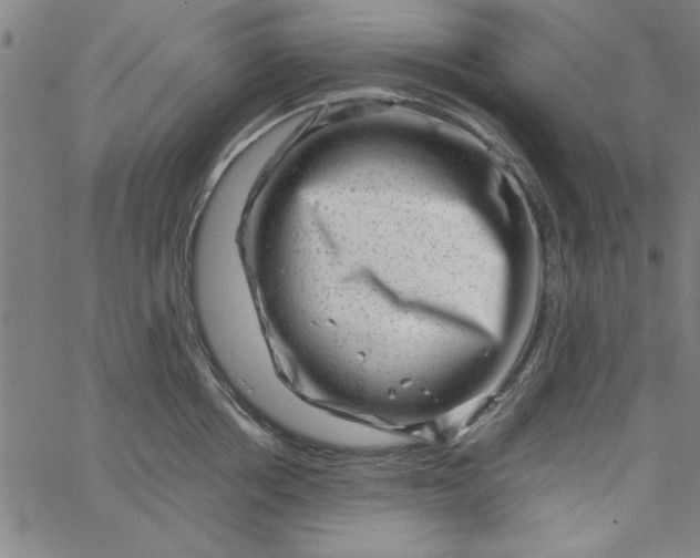 X0000065250858200603031802