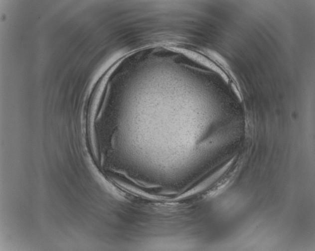 X0000065250859200603031802