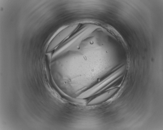 X0000065250860200603031802