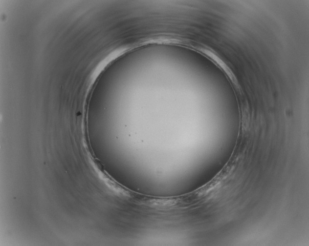 X0000065250861200603031802