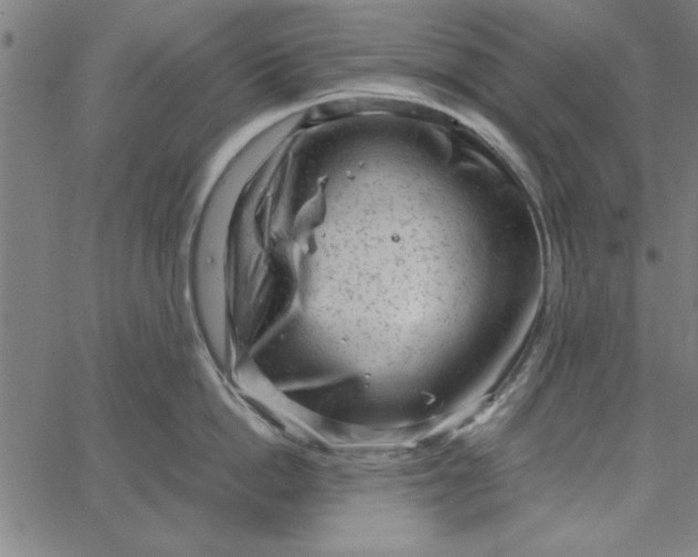 X0000065250862200603031802