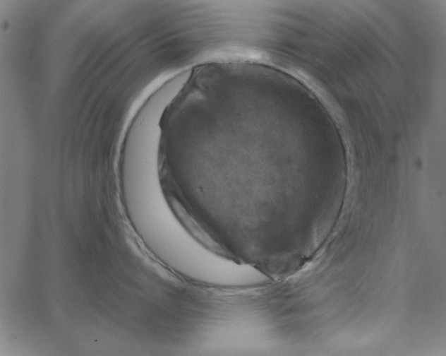 X0000065250864200603031802