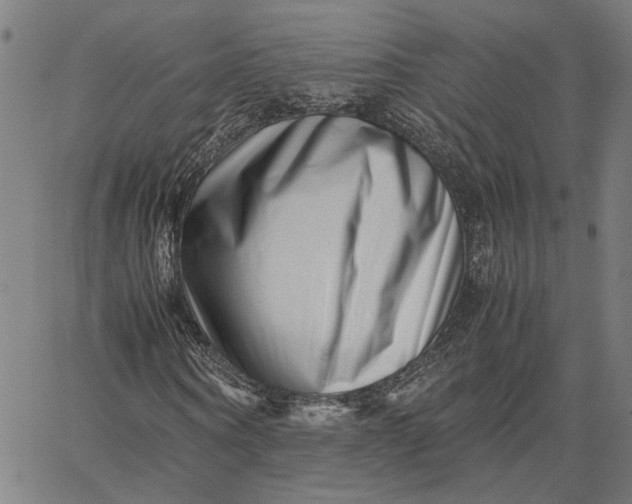 X0000065250866200603031801