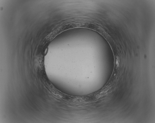 X0000065250867200603031801