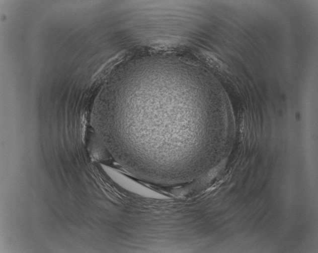 X0000065250868200603031801