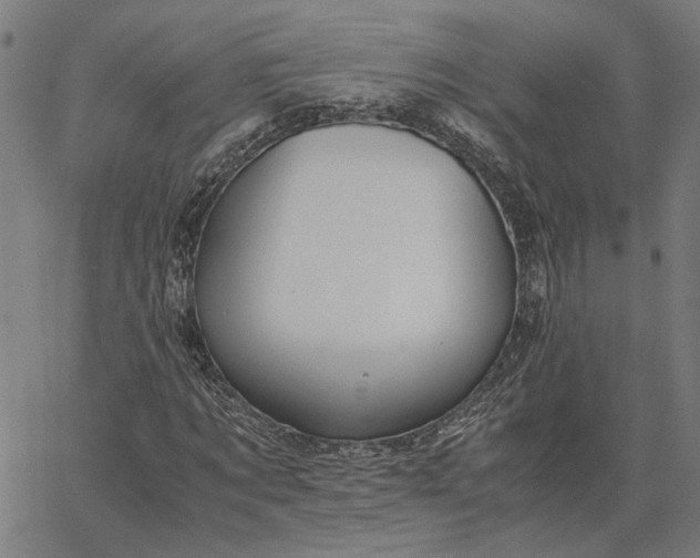 X0000065250869200603031801