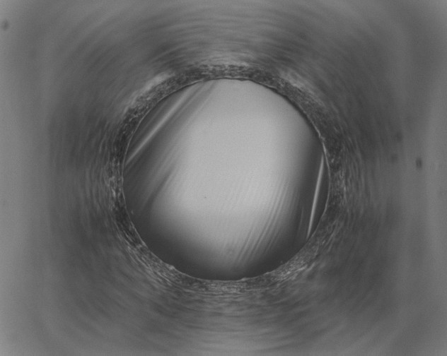 X0000065250870200603031801