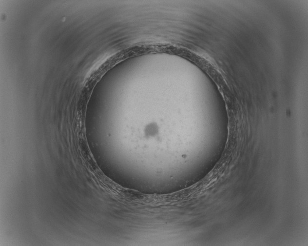 X0000065250871200603031801