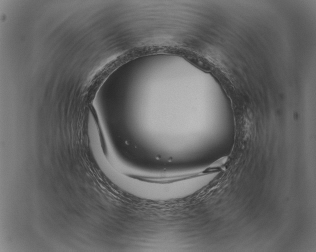 X0000065250872200603031801