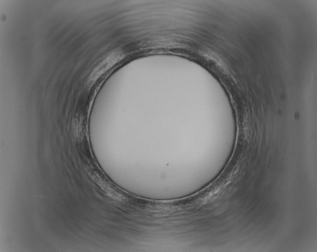 X0000065250873200603031801