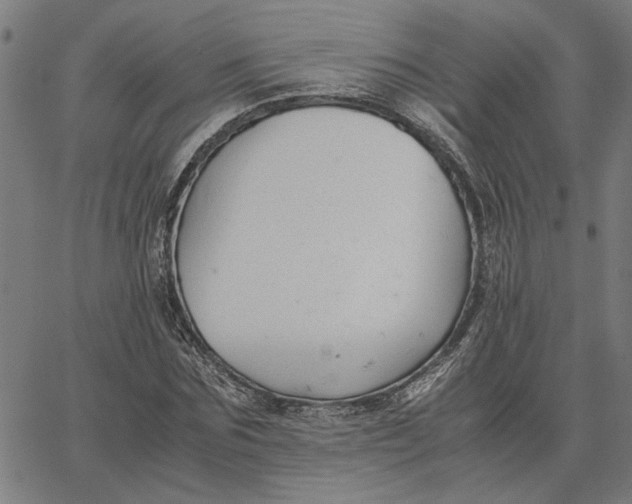 X0000065250875200603031801