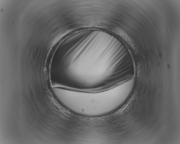 X0000065250876200603031801