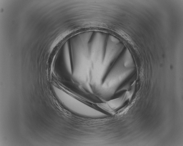 X0000065250877200603031801