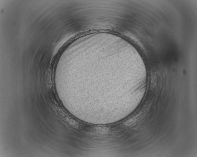 X0000065250878200603031801