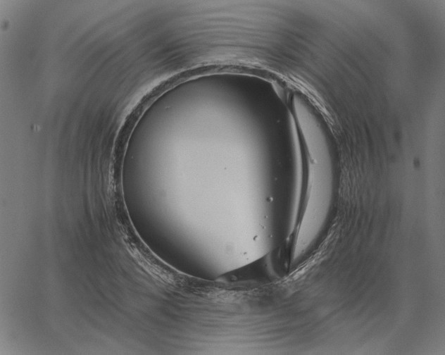 X0000065250880200603031801