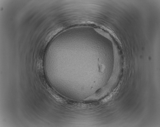 X0000065250881200603031801