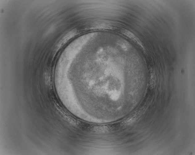 X0000065250882200603031801