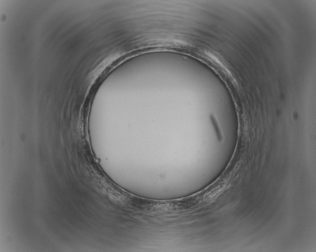 X0000065250883200603031801