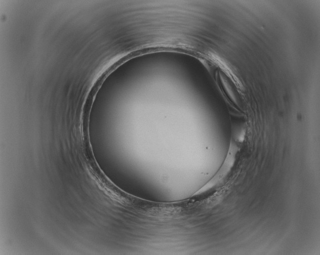 X0000065250884200603031801