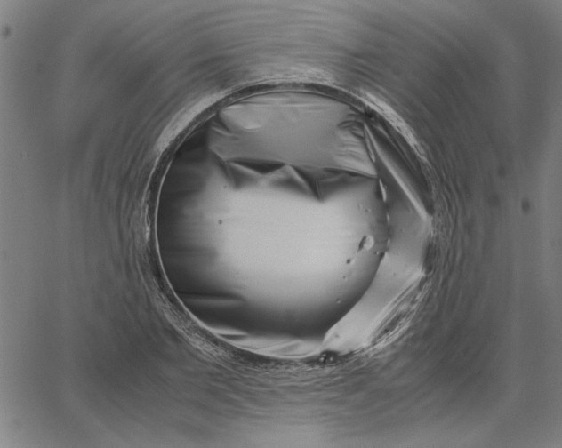 X0000065250885200603031801