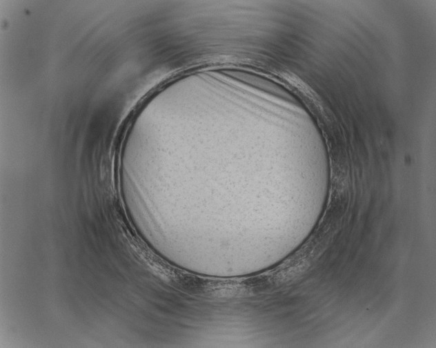 X0000065250886200603031801