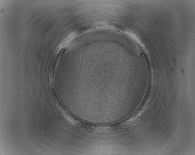 X0000065250889200603031801