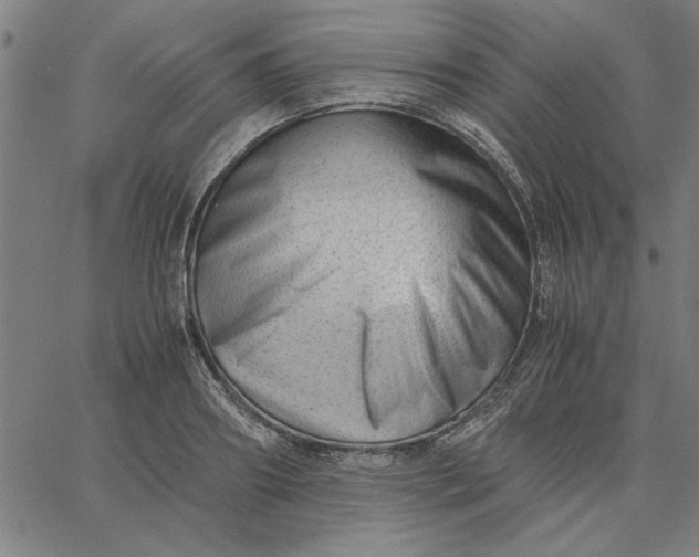 X0000065250890200603031801