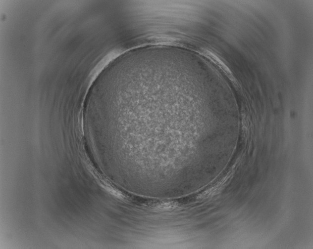 X0000065250891200603031801