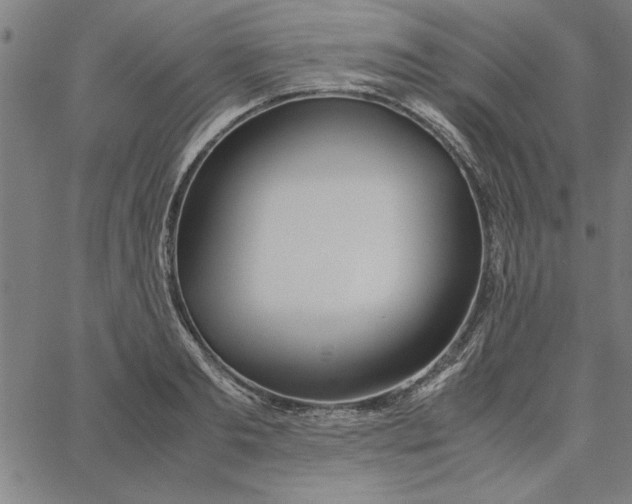 X0000065250893200603031801