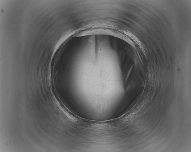 X0000065250894200603031800