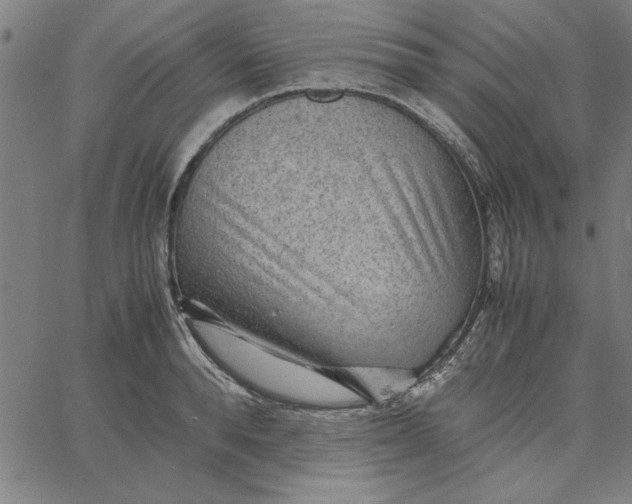 X0000065250896200603031800