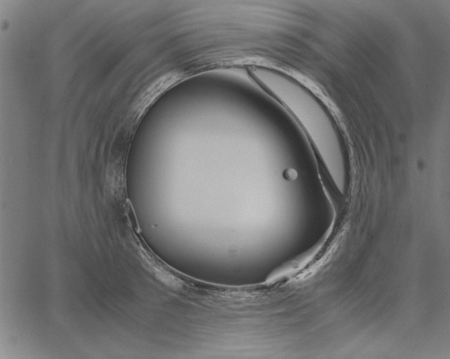 X0000065250897200603031800