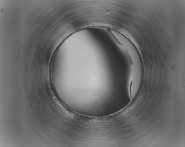 X0000065250898200603031800