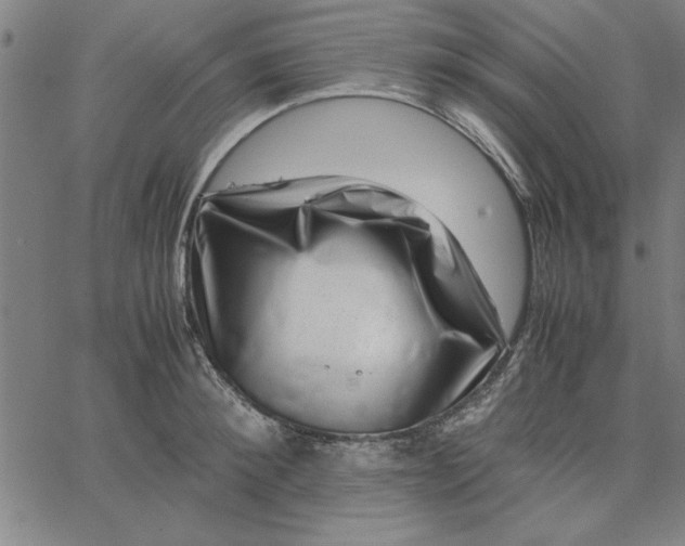 X0000065250900200603031800