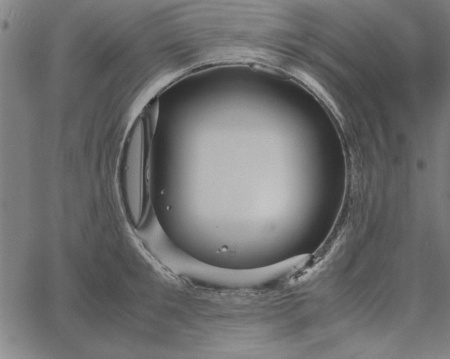 X0000065250901200603031800