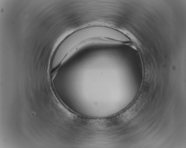 X0000065250902200603031800