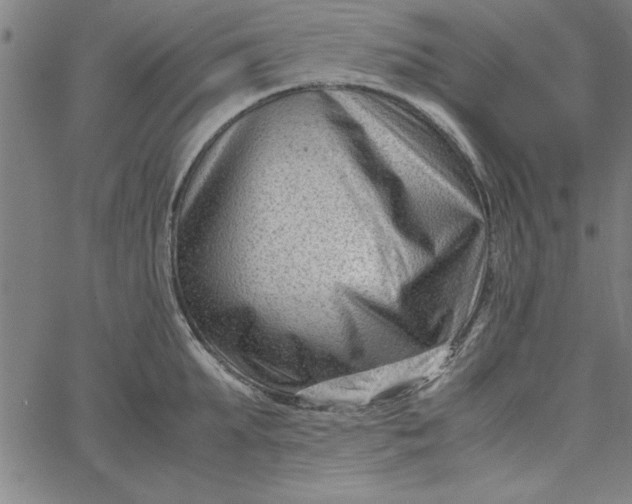 X0000065250903200603031800