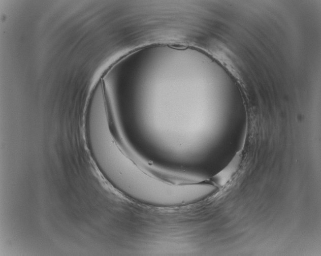 X0000065250904200603031800